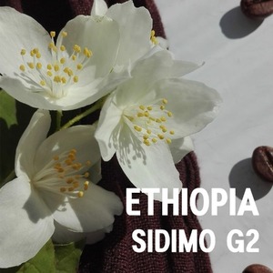 에티오피아 시다모 G2 1kg / 생두
