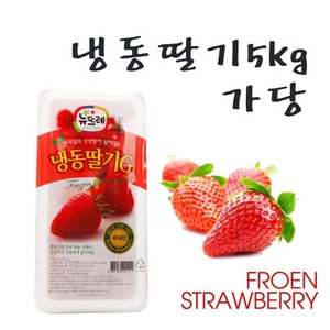 냉동 딸기 가당 5kg